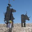 Vaquero and Longhorn