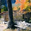 "High Country Cabin"