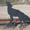 Doug's Coyote